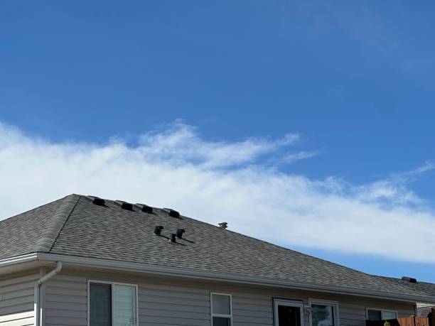 Skylights in Roselle Park, NJ